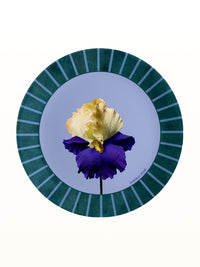 PAPER BLOOM Masonite Placemat - Purple Iris