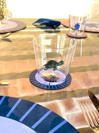 PAPER BLOOM Coasters - Set of 6