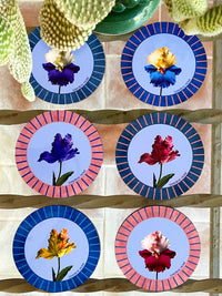 PAPER BLOOM Coasters - Set of 6