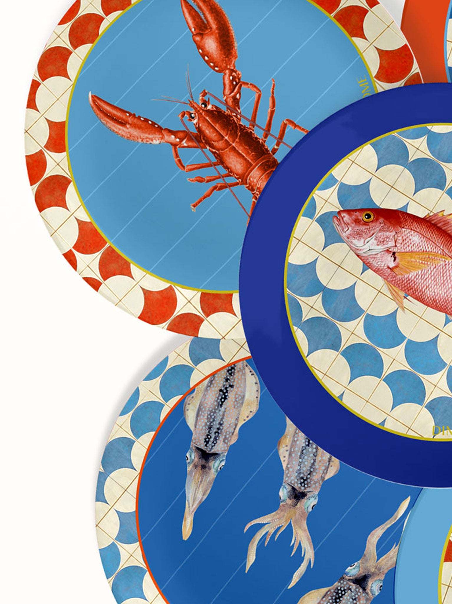 SEA Coasters - Set of 6 – Dimorae.home